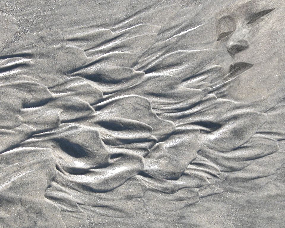 Liminal Animism (xii)